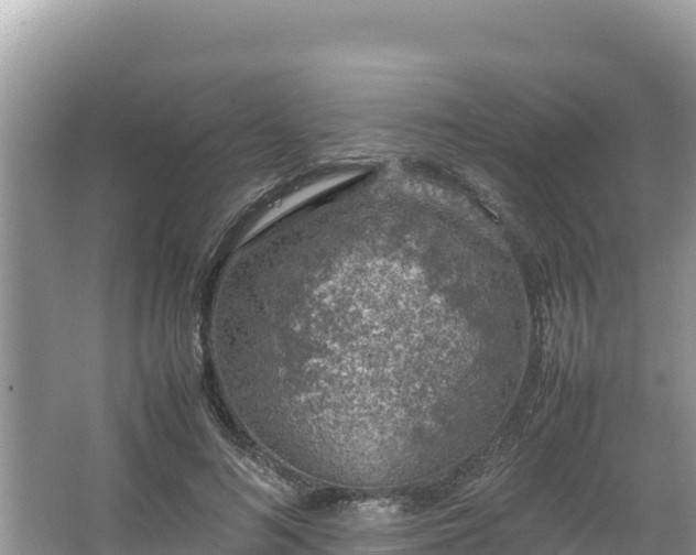 X0000067340692200604071351