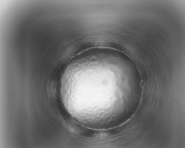 X0000067340695200604071351