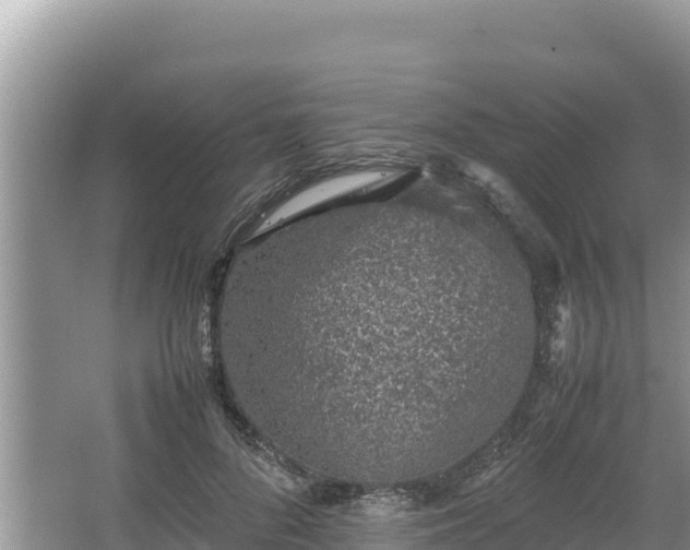 X0000067340696200604071351