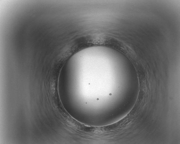 X0000067340697200604071351