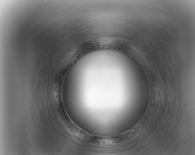 X0000067340698200604071351