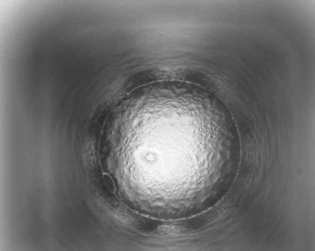 X0000067340699200604071351