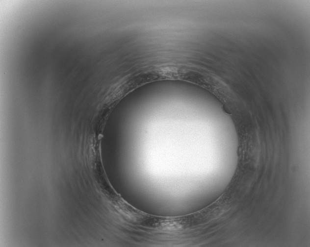 X0000067340702200604071351