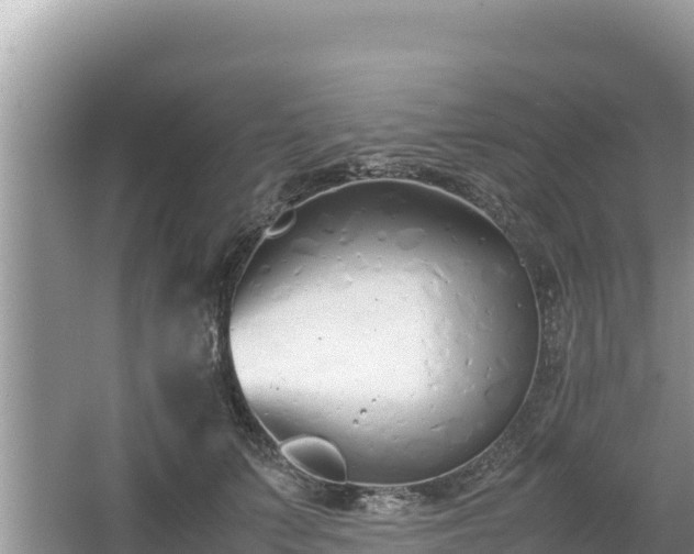 X0000067340703200604071351