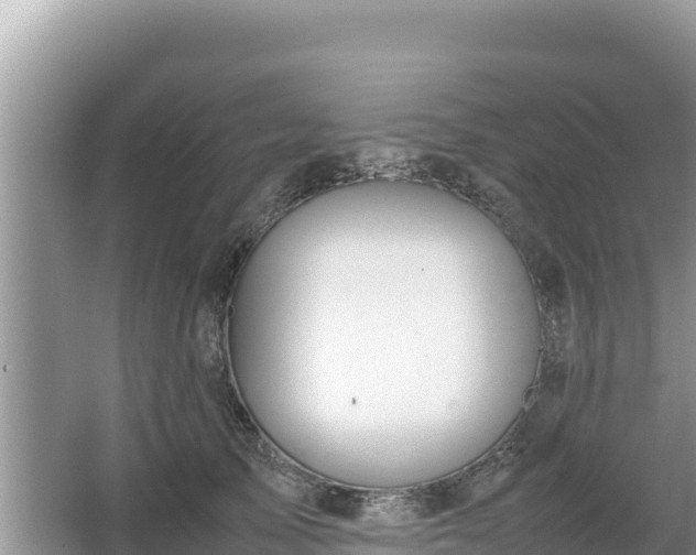 X0000067340705200604071351