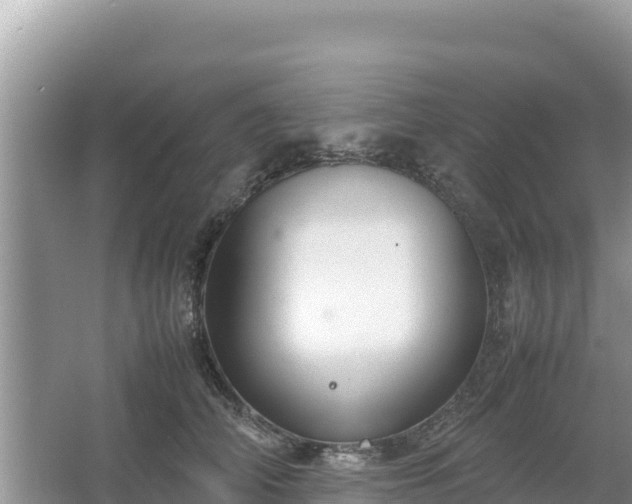 X0000067340706200604071351