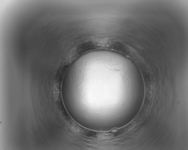 X0000067340707200604071351