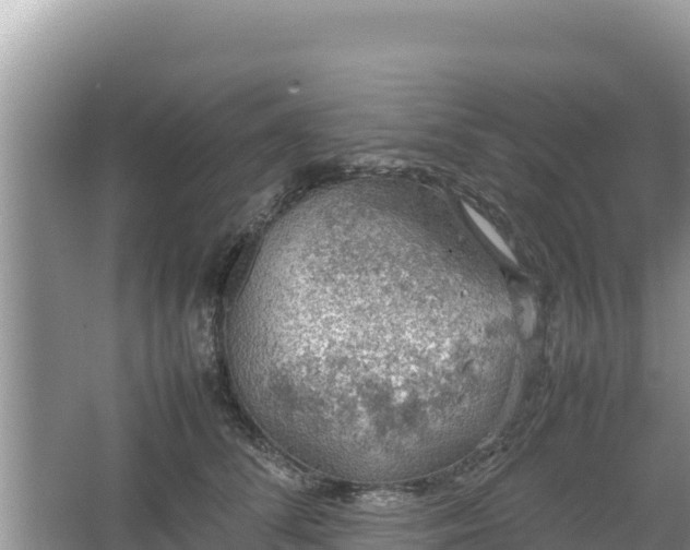 X0000067340708200604071351