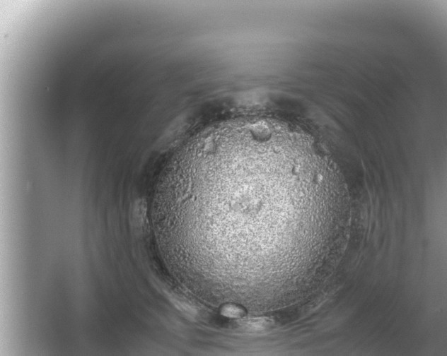 X0000067340711200604071351