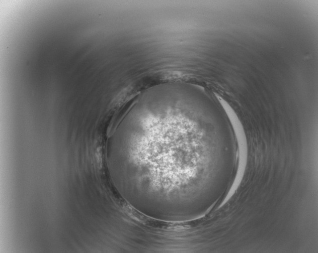 X0000067340716200604071351