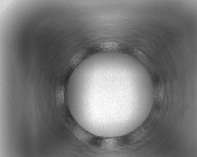 X0000067340717200604071351