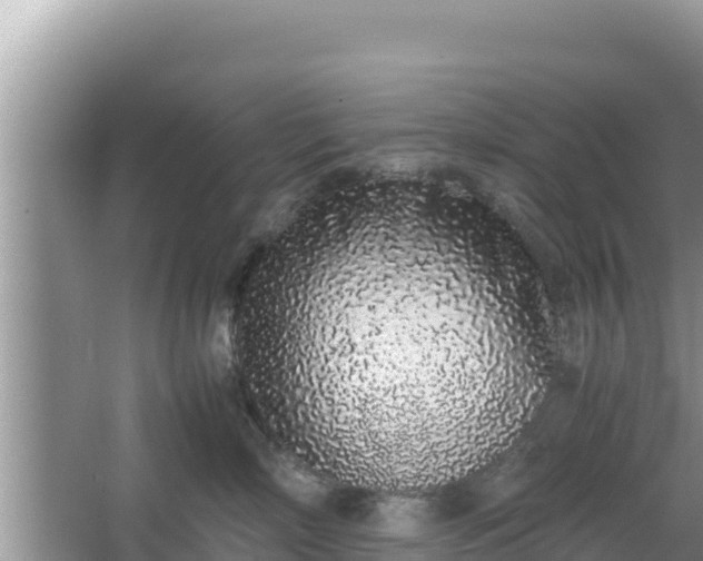 X0000067340718200604071351