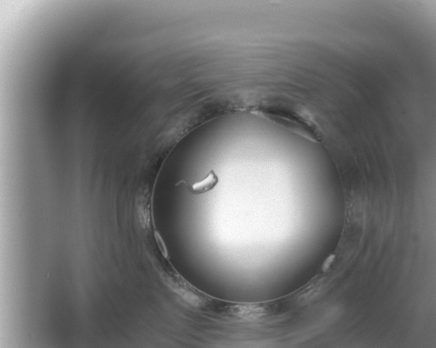 X0000067340719200604071351