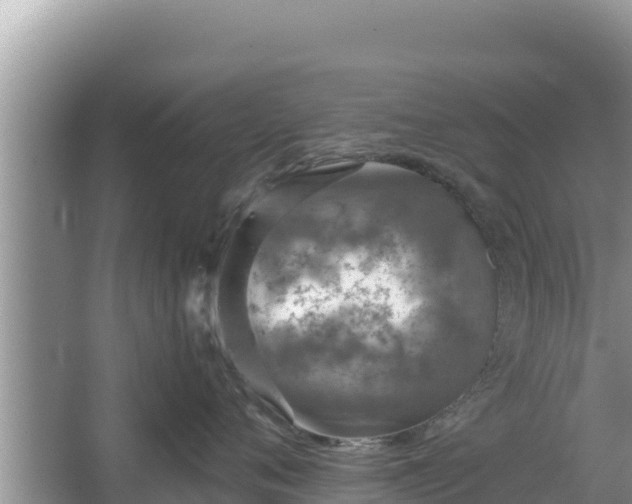 X0000067340720200604071351