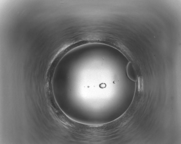 X0000067340723200604071350