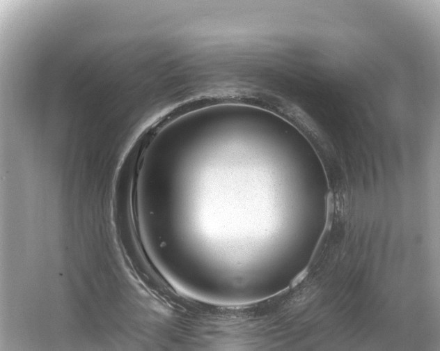 X0000067340724200604071350