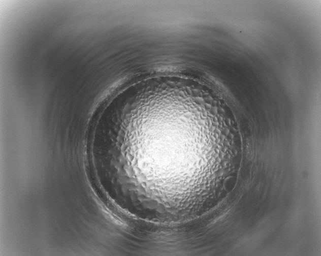 X0000067340725200604071350