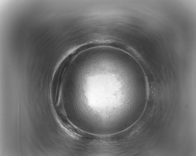 X0000067340726200604071350