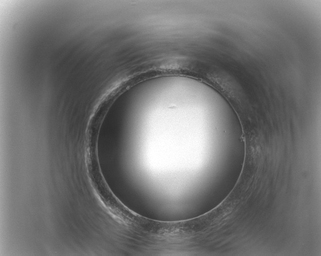 X0000067340728200604071350