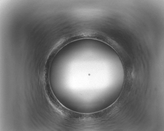 X0000067340730200604071350