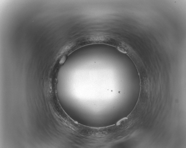 X0000067340731200604071350