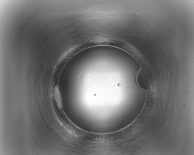 X0000067340732200604071350