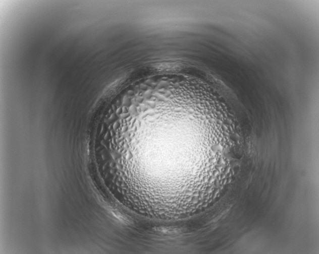 X0000067340733200604071350