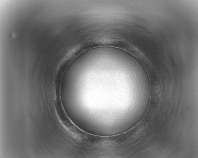 X0000067340734200604071350