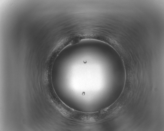 X0000067340735200604071350