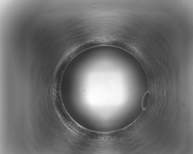 X0000067340736200604071350