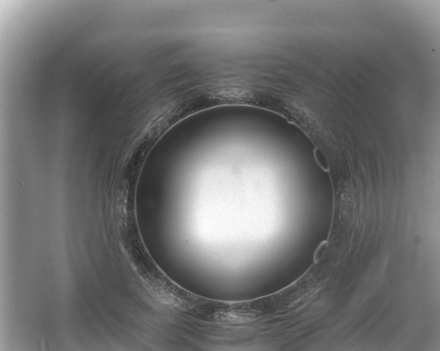 X0000067340739200604071350