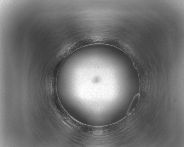 X0000067340740200604071351