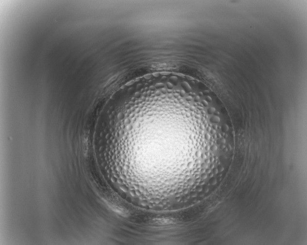 X0000067340741200604071351