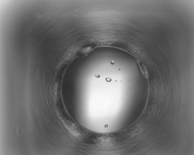 X0000067340742200604071351