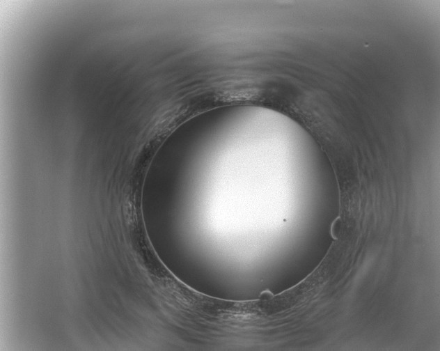 X0000067340743200604071351