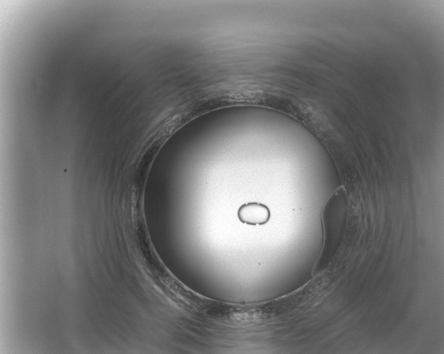 X0000067340744200604071351