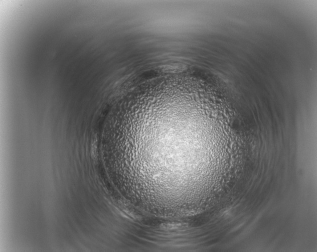 X0000067340745200604071351