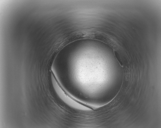 X0000067340748200604071351