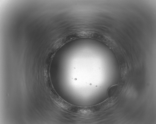 X0000067340749200604071351