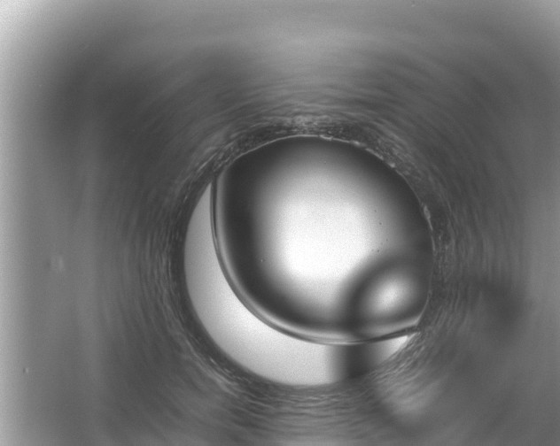 X0000067340750200604071351