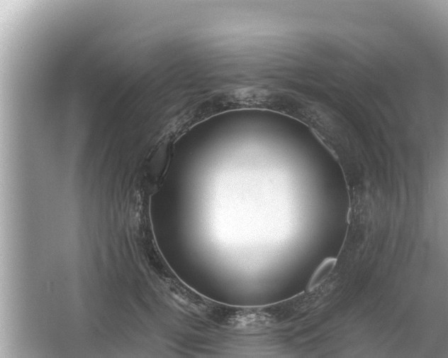 X0000067340752200604071351