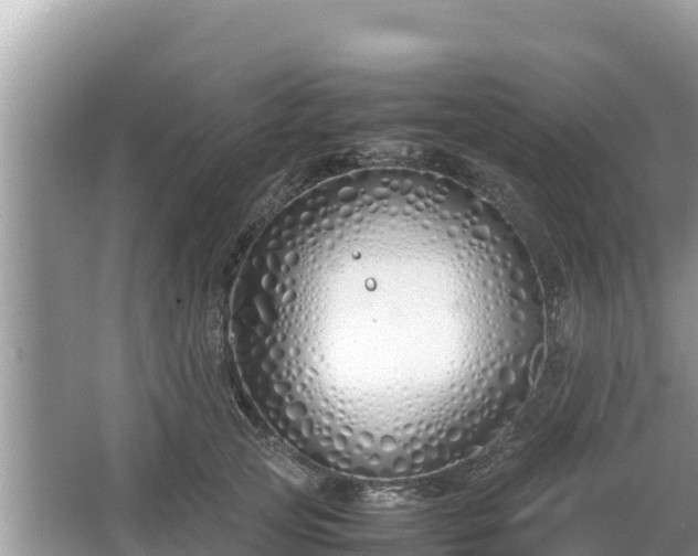 X0000067340753200604071351