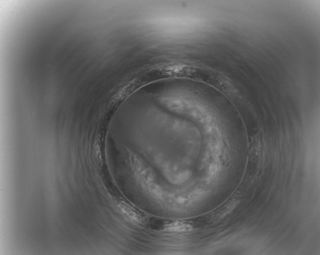 X0000067340754200604071351