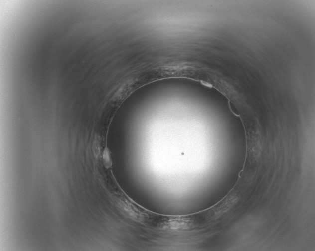 X0000067340758200604071351