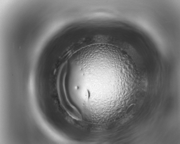 X0000067340765200604071351