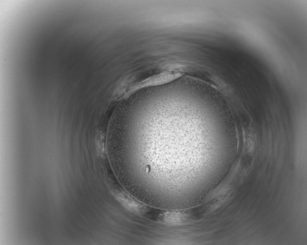 X0000067340766200604071351