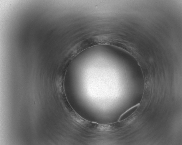 X0000067340767200604071351