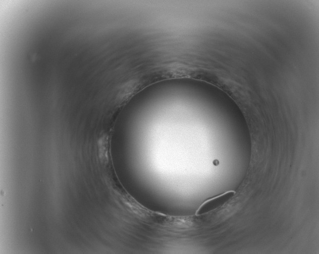 X0000067340768200604071351