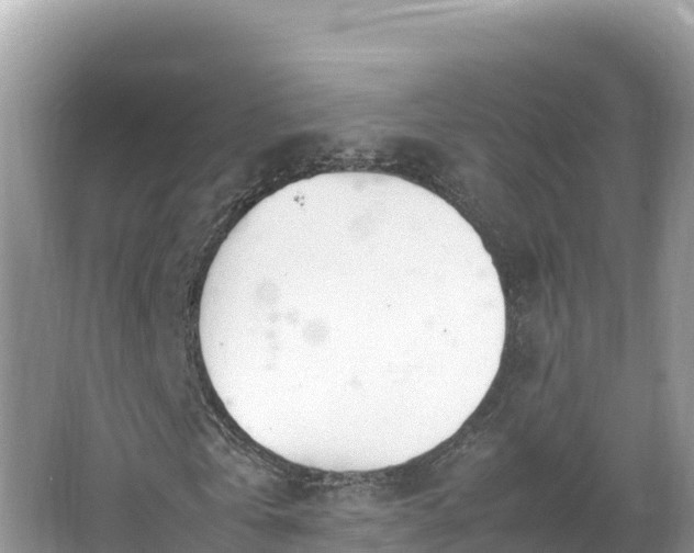 X0000067340769200604071350