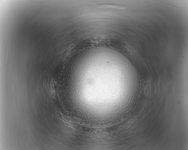 X0000067340770200604071350